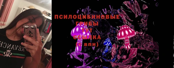 амф Белоозёрский