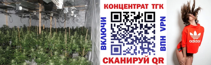 Купить закладки  Белгород  ТГК Wax 