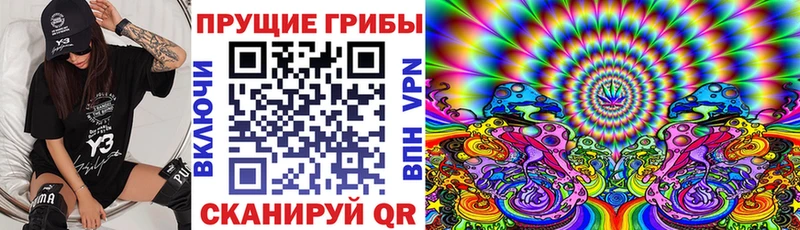 Купить где  Белгород  Псилоцибиновые грибы Cubensis 